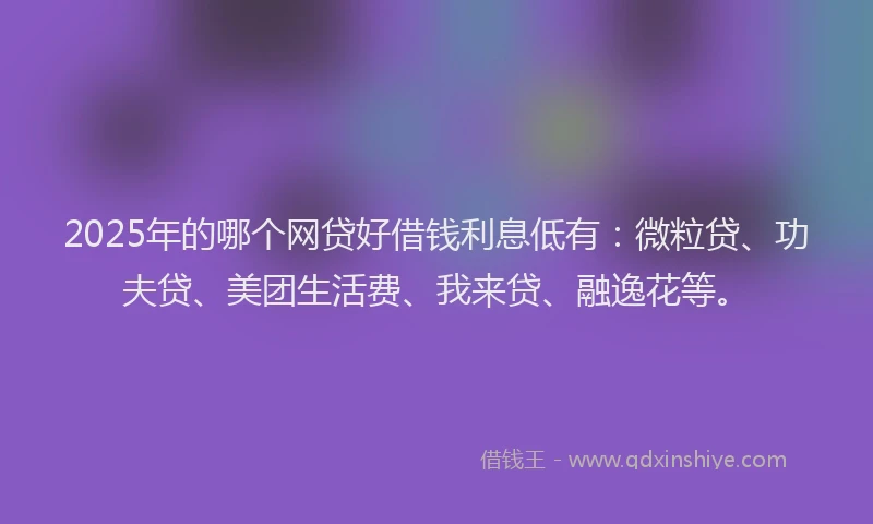 2025年的哪个网贷好借钱利息低有：微粒贷、功夫贷、美团生活费、我来贷、融逸花等。