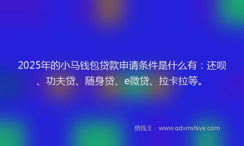 2025年的小马钱包贷款申请条件是什么有：还呗、功夫贷、随身贷、e微贷、拉卡拉等。