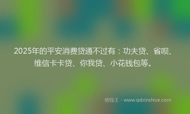 2025年的平安消费贷通不过有：功夫贷、省呗、维信卡卡贷、你我贷、小花钱包等。