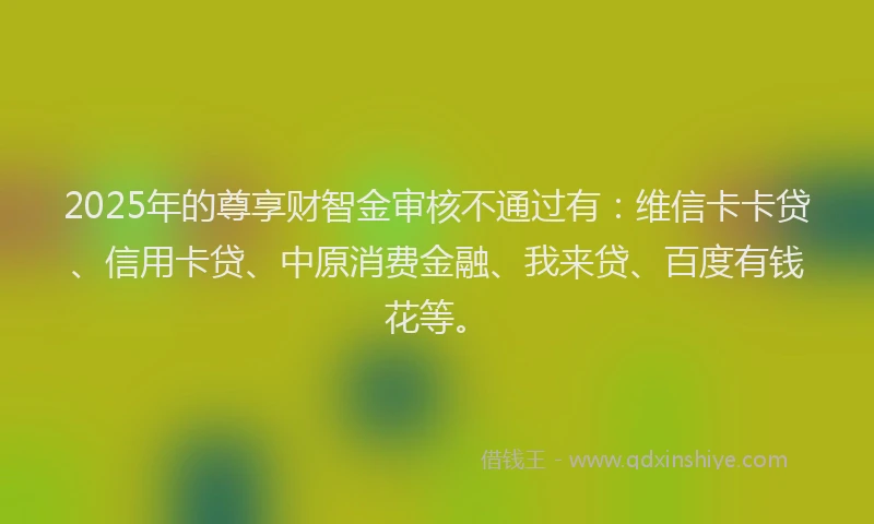 2025年的尊享财智金审核不通过有：维信卡卡贷、信用卡贷、中原消费金融、我来贷、百度有钱花等。
