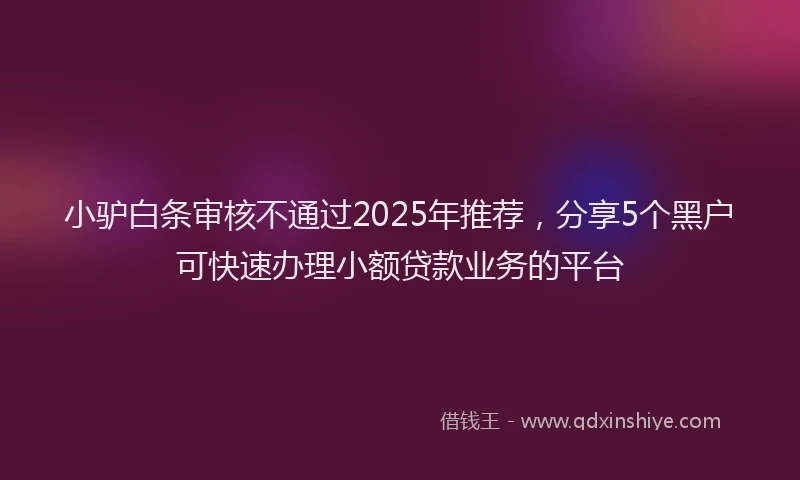 小驴白条审核不通过2025年推荐，分享5个黑户可快速办理小额贷款业务的平台