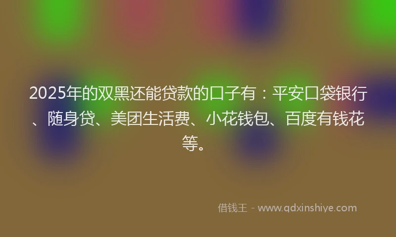 2025年的双黑还能贷款的口子有：平安口袋银行、随身贷、美团生活费、小花钱包、百度有钱花等。