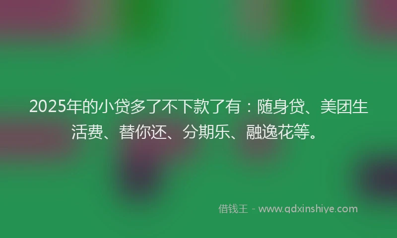 2025年的小贷多了不下款了有：随身贷、美团生活费、替你还、分期乐、融逸花等。