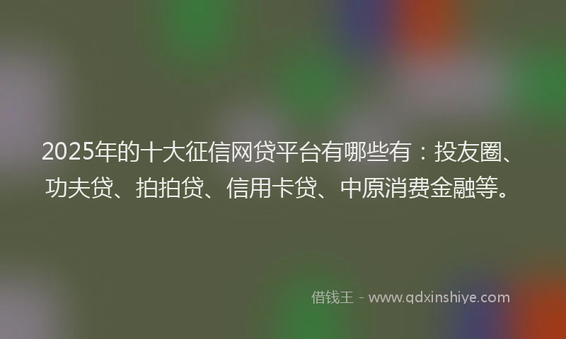 2025年的十大征信网贷平台有哪些有：投友圈、功夫贷、拍拍贷、信用卡贷、中原消费金融等。