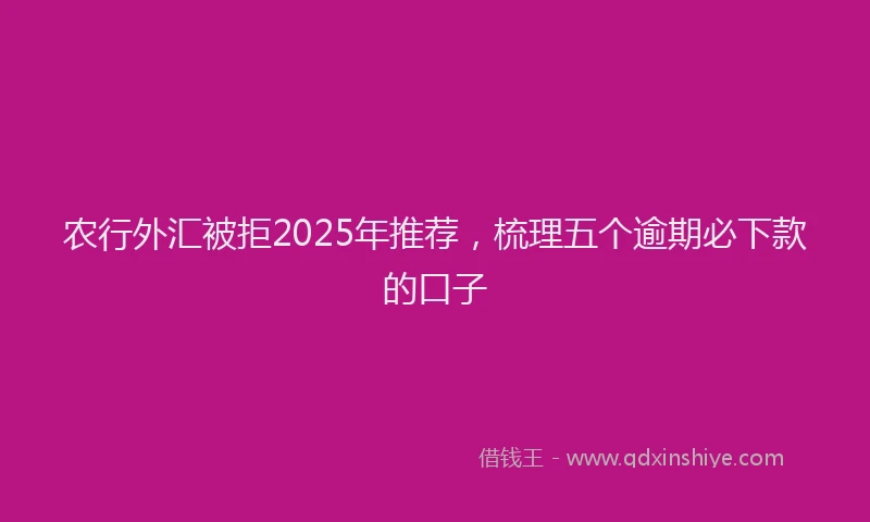 农行外汇被拒2025年推荐，梳理五个逾期必下款的口子