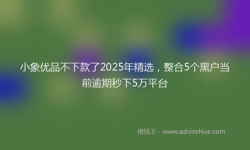 小象优品不下款了2025年精选，整合5个黑户当前逾期秒下5万平台