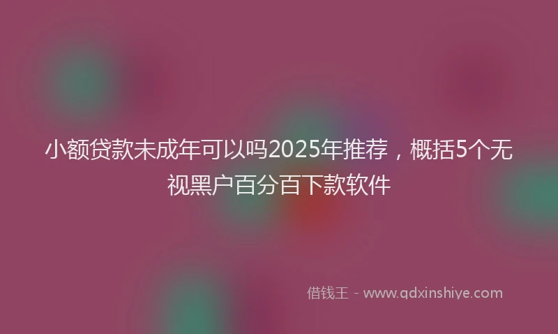 小额贷款未成年可以吗2025年推荐，概括5个无视黑户百分百下款软件