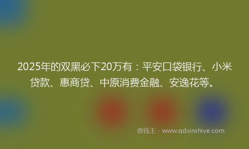 2025年的双黑必下20万有：平安口袋银行、小米贷款、惠商贷、中原消费金融、安逸花等。