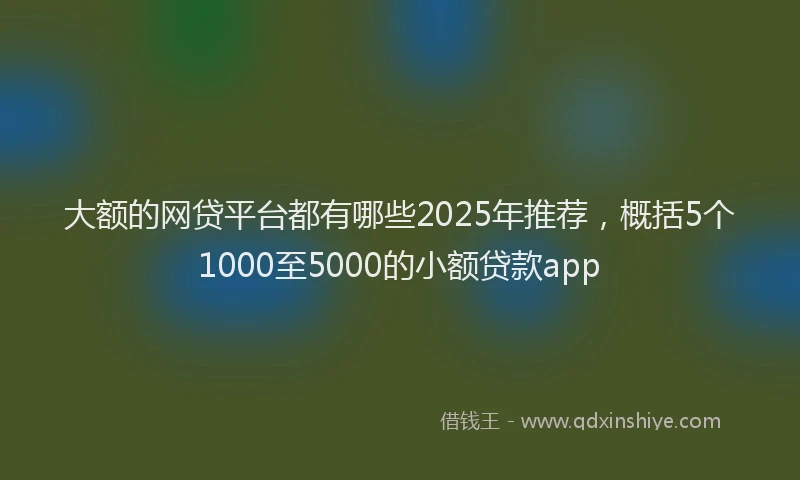 大额的网贷平台都有哪些2025年推荐，概括5个1000至5000的小额贷款app