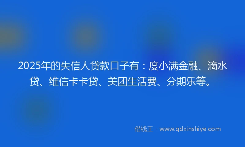 2025年的失信人贷款口子有：度小满金融、滴水贷、维信卡卡贷、美团生活费、分期乐等。