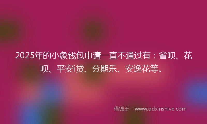 2025年的小象钱包申请一直不通过有：省呗、花呗、平安i贷、分期乐、安逸花等。