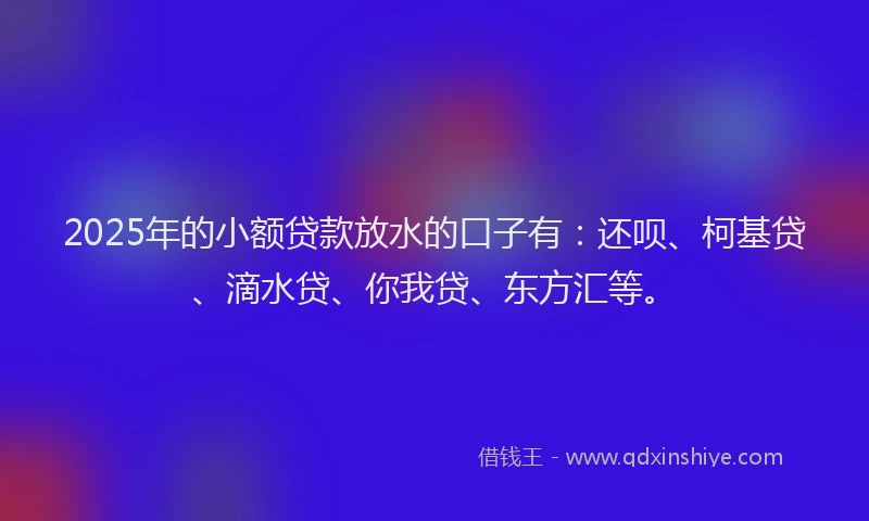 2025年的小额贷款放水的口子有：还呗、柯基贷、滴水贷、你我贷、东方汇等。