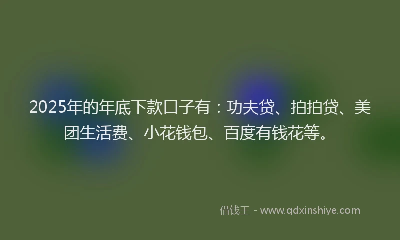 2025年的年底下款口子有：功夫贷、拍拍贷、美团生活费、小花钱包、百度有钱花等。