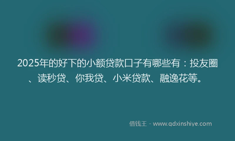 2025年的好下的小额贷款口子有哪些有：投友圈、读秒贷、你我贷、小米贷款、融逸花等。