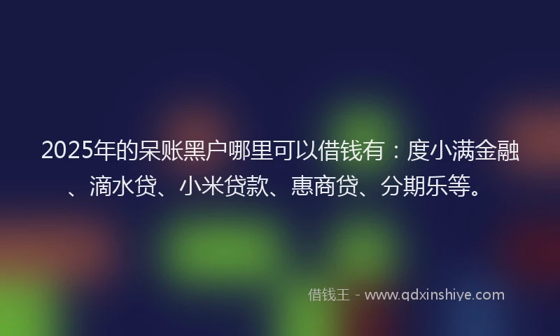 2025年的呆账黑户哪里可以借钱有：度小满金融、滴水贷、小米贷款、惠商贷、分期乐等。