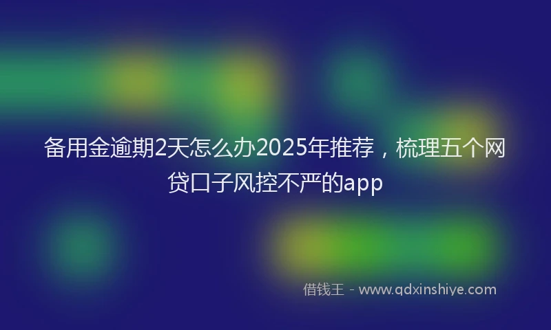 备用金逾期2天怎么办2025年推荐，梳理五个网贷口子风控不严的app
