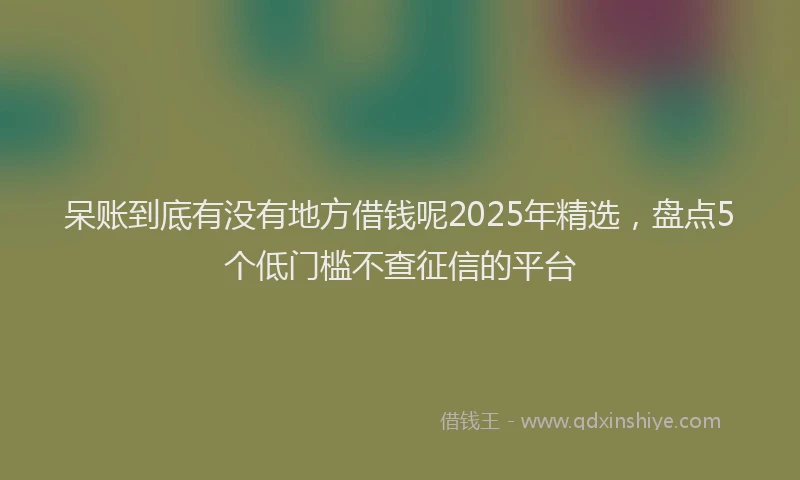 呆账到底有没有地方借钱呢2025年精选，盘点5个低门槛不查征信的平台