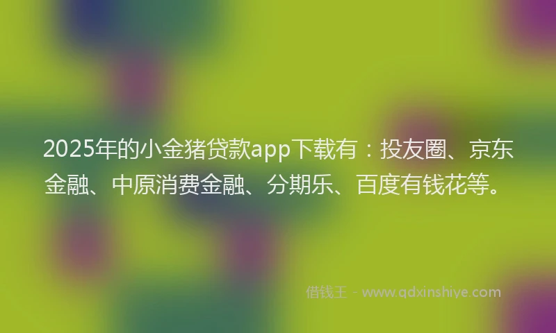 2025年的小金猪贷款app下载有：投友圈、京东金融、中原消费金融、分期乐、百度有钱花等。