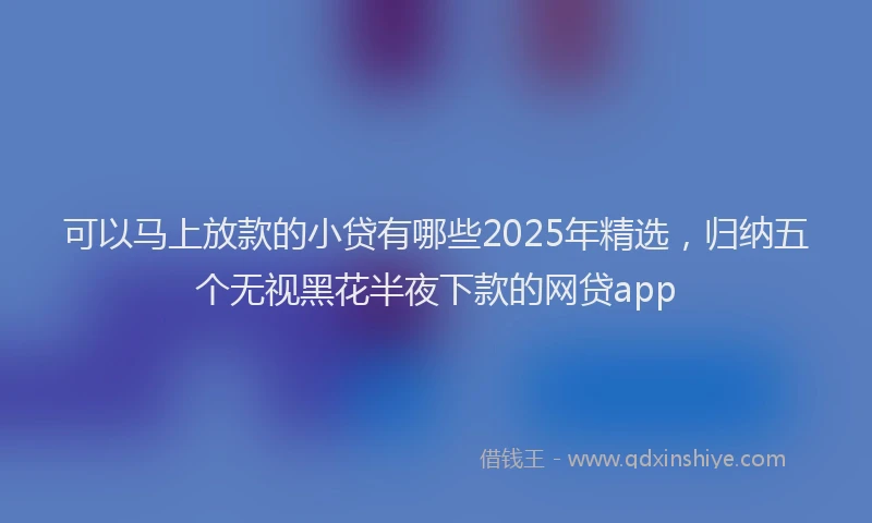 可以马上放款的小贷有哪些2025年精选，归纳五个无视黑花半夜下款的网贷app