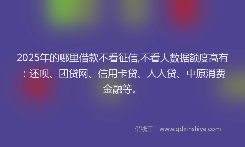 2025年的哪里借款不看征信,不看大数据额度高有：还呗、团贷网、信用卡贷、人人贷、中原消费金融等。