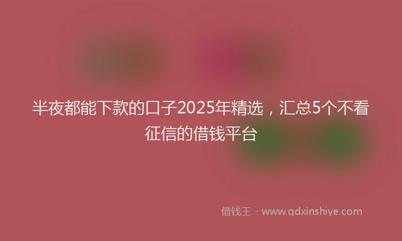 半夜都能下款的口子2025年精选，汇总5个不看征信的借钱平台