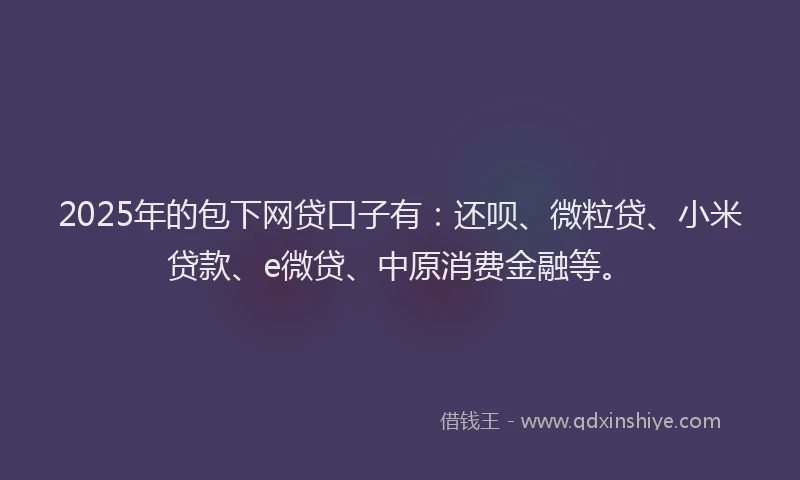 2025年的包下网贷口子有：还呗、微粒贷、小米贷款、e微贷、中原消费金融等。