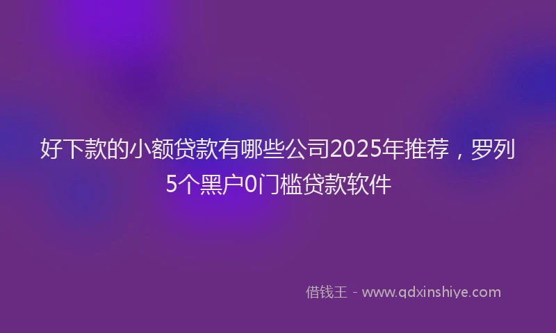 好下款的小额贷款有哪些公司2025年推荐，罗列5个黑户0门槛贷款软件