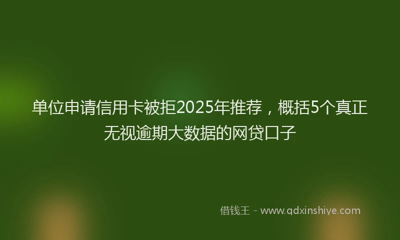 单位申请信用卡被拒2025年推荐，概括5个真正无视逾期大数据的网贷口子