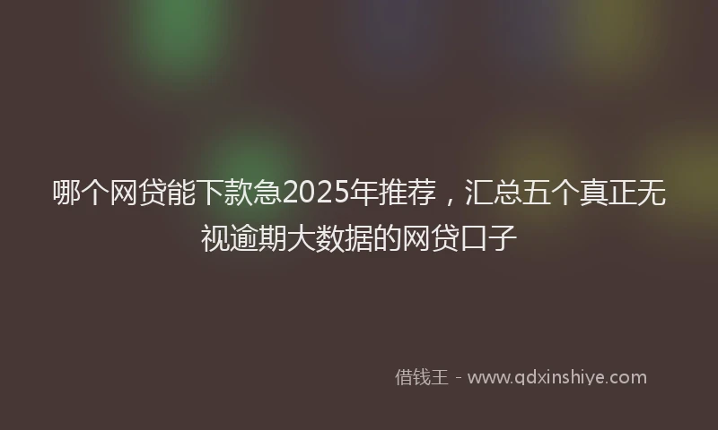 哪个网贷能下款急2025年推荐，汇总五个真正无视逾期大数据的网贷口子