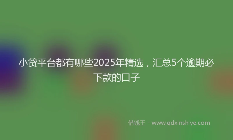 小贷平台都有哪些2025年精选，汇总5个逾期必下款的口子
