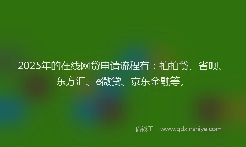2025年的在线网贷申请流程有：拍拍贷、省呗、东方汇、e微贷、京东金融等。