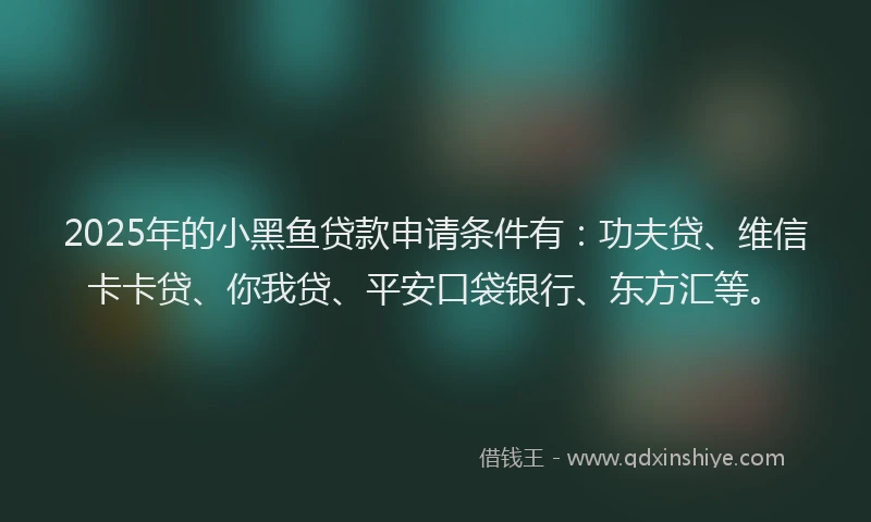 2025年的小黑鱼贷款申请条件有：功夫贷、维信卡卡贷、你我贷、平安口袋银行、东方汇等。