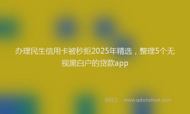 办理民生信用卡被秒拒2025年精选，整理5个无视黑白户的贷款app