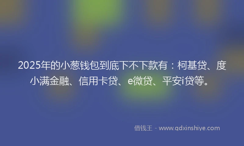 2025年的小葱钱包到底下不下款有：柯基贷、度小满金融、信用卡贷、e微贷、平安i贷等。