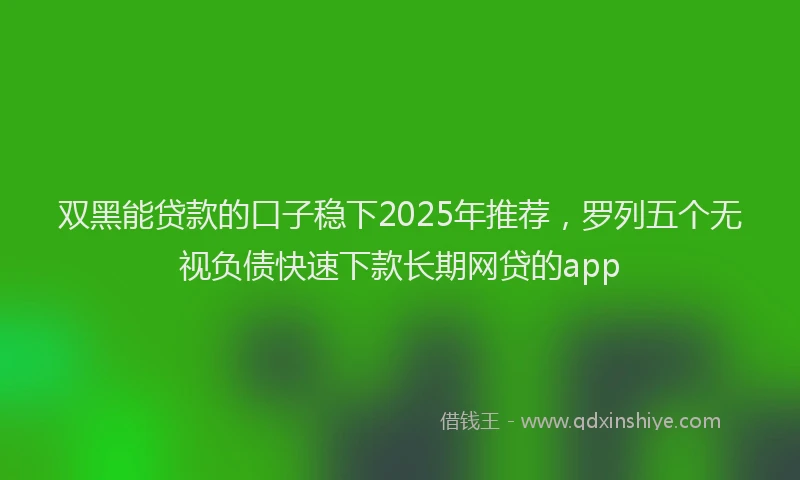 双黑能贷款的口子稳下2025年推荐，罗列五个无视负债快速下款长期网贷的app