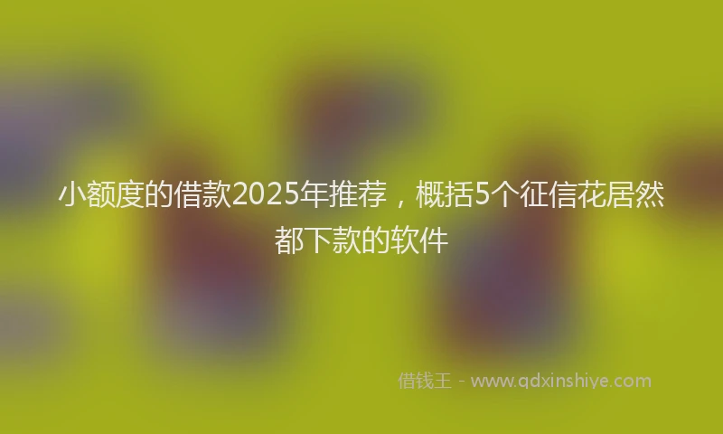 小额度的借款2025年推荐，概括5个征信花居然都下款的软件