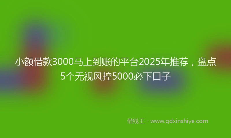 小额借款3000马上到账的平台2025年推荐，盘点5个无视风控5000必下口子
