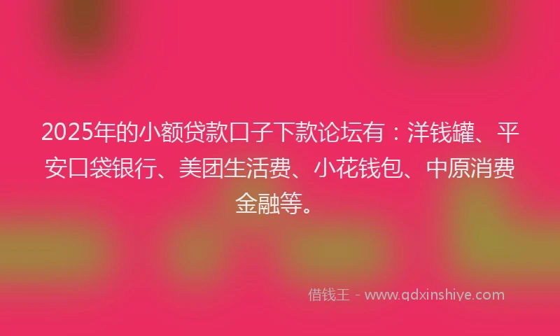 2025年的小额贷款口子下款论坛有：洋钱罐、平安口袋银行、美团生活费、小花钱包、中原消费金融等。