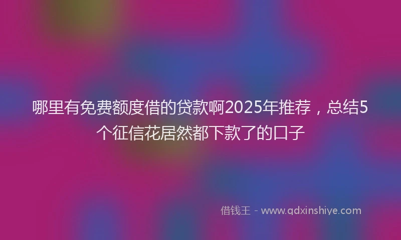 哪里有免费额度借的贷款啊2025年推荐，总结5个征信花居然都下款了的口子