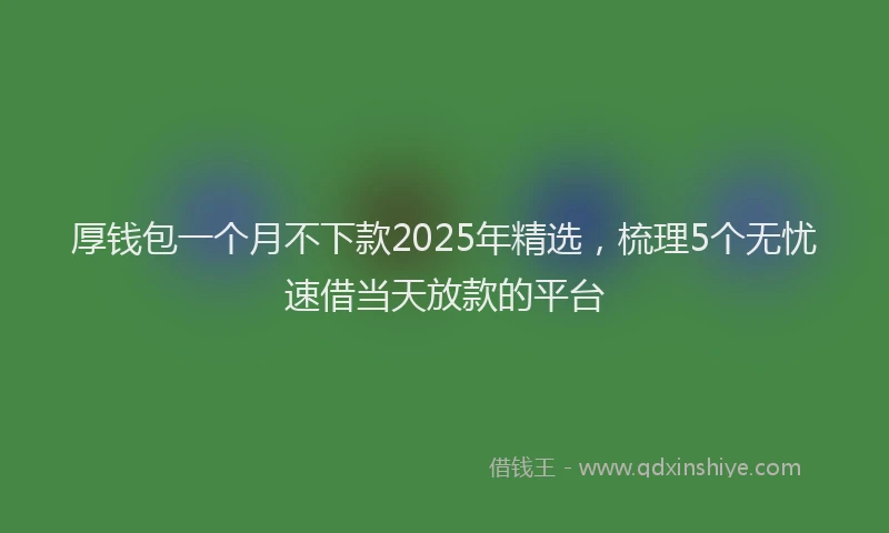 厚钱包一个月不下款2025年精选，梳理5个无忧速借当天放款的平台