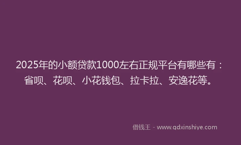 2025年的小额贷款1000左右正规平台有哪些有：省呗、花呗、小花钱包、拉卡拉、安逸花等。