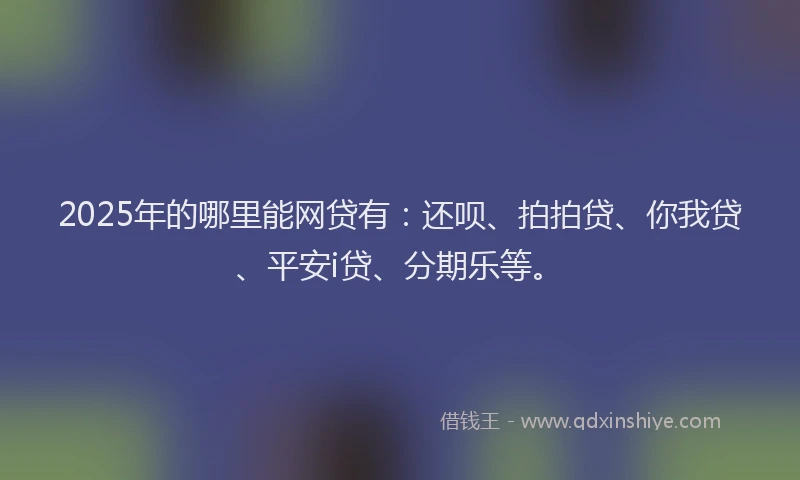 2025年的哪里能网贷有：还呗、拍拍贷、你我贷、平安i贷、分期乐等。