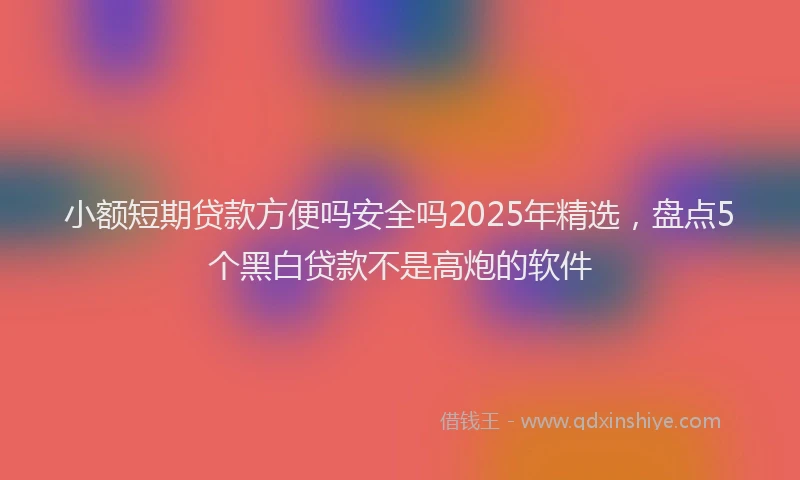 小额短期贷款方便吗安全吗2025年精选，盘点5个黑白贷款不是高炮的软件