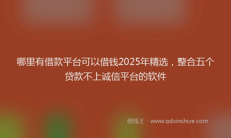 哪里有借款平台可以借钱2025年精选，整合五个贷款不上诚信平台的软件