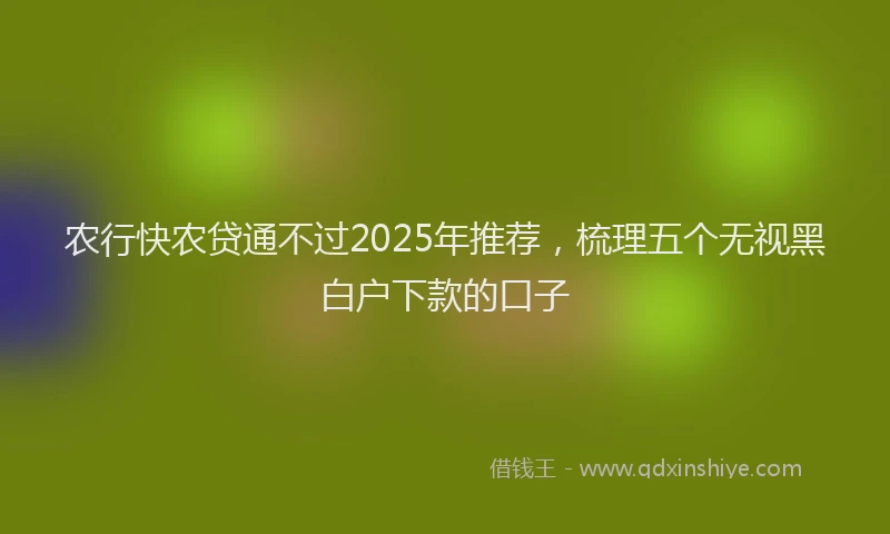 农行快农贷通不过2025年推荐，梳理五个无视黑白户下款的口子