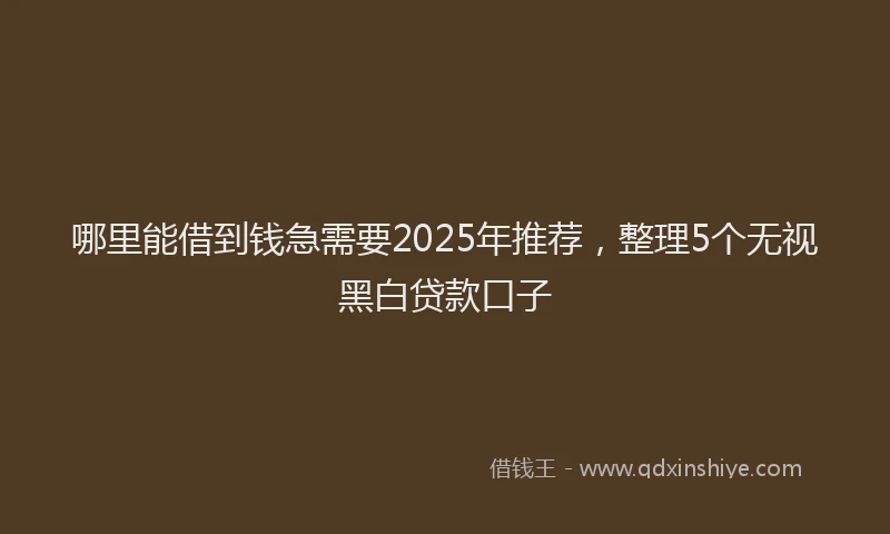 哪里能借到钱急需要2025年推荐，整理5个无视黑白贷款口子