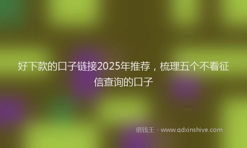 好下款的口子链接2025年推荐，梳理五个不看征信查询的口子