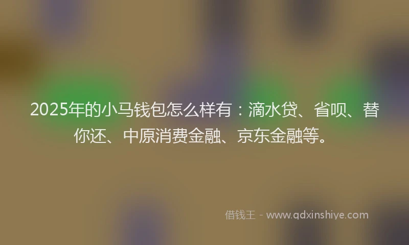 2025年的小马钱包怎么样有：滴水贷、省呗、替你还、中原消费金融、京东金融等。