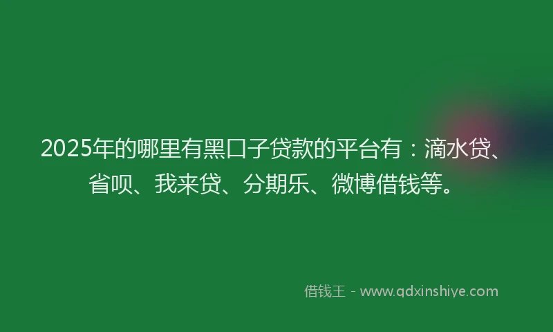2025年的哪里有黑口子贷款的平台有：滴水贷、省呗、我来贷、分期乐、微博借钱等。