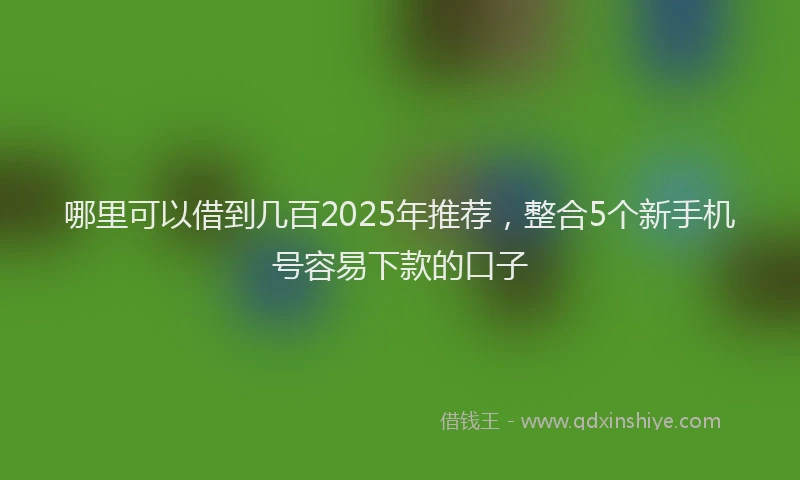 哪里可以借到几百2025年推荐，整合5个新手机号容易下款的口子